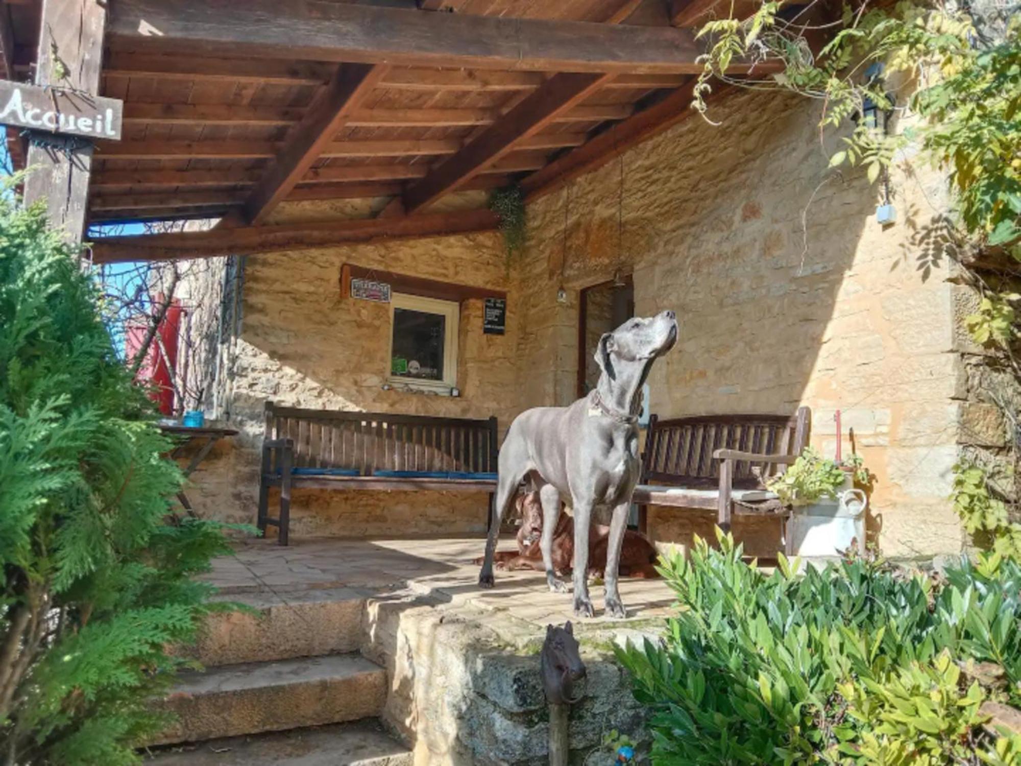 Villa Centre Equestre Du Passe Temps Dégagnac Exterior foto
